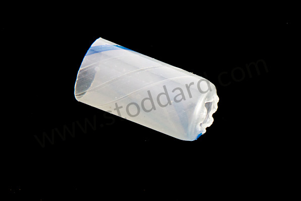 00004320364 - ASSEMBLY KIT FOR VALVE STEM SEALS for Porsche 