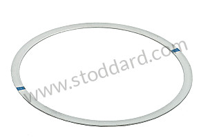 SEALING RING  (021101343)