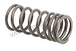 VALVE SPRING