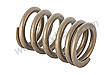 Valve Spring
