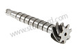 PINION