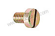 PAN-HEAD SCREW