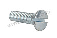 Screw