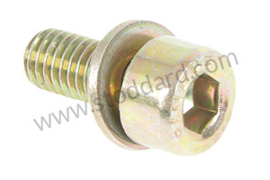 PAN-HEAD SCREW 