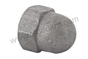 CAP NUT  (90009600601)