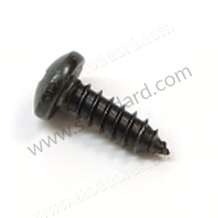 Self Tapping Screw 