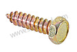 Screw 4.