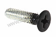 SCREW