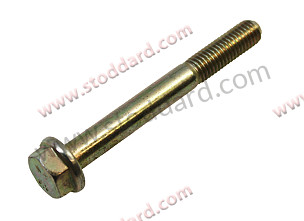 Screw M8 X 70  (90037810501)