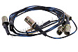 WIRING HARNESS FOR INSTRUMENTS ILLUMINATION WITH  BULB SOCKET