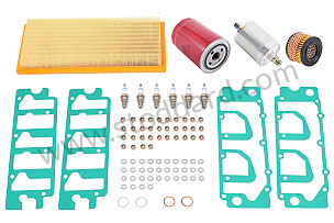 COMPLETE MAINTENANCE KIT WITH SCREWS, RED FILTER AND SEAL PACK  (91110095601)