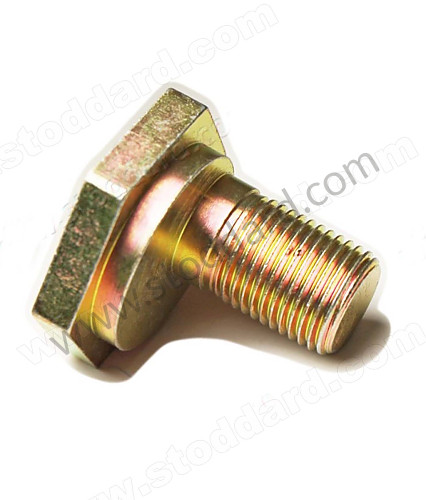 SIC33313304 - Eccentric Bolt For Rear Trailing Arm Spring Plate for Porsche 