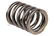 VALVE SPRING