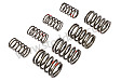 SET OF VALVE SPRINGS