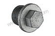 SCREW PLUG