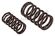 SET OF VALVE SPRINGS