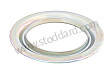 PROTECTIVE RING