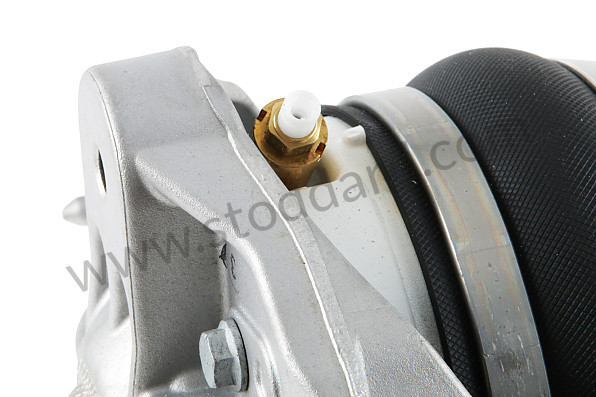 95535803911 - SPRING STRUT for Porsche Cayenne 957 07-10 &bull; 2007 &bull; Cayenne S V8 &bull; Automatic Gearbox