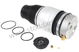 AIR SPRING  (95535840431)