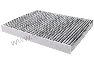 Pollen Filter Left-hand drive (95581963100)