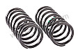 COIL SPRING 1 SET IDENTIFICATION BLUE