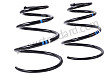 COIL SPRING