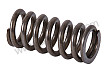 COMPRESSION SPRING