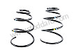 COIL SPRING