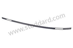 ROOF EDGE STRIP LEFT (99755940101G2X)