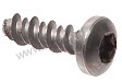 SCREW