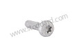 OVAL-HEAD SCREW