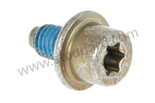 PAN-HEAD SCREW  (99907318302)