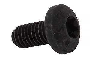 TORX SCREW 