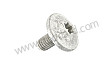 OVAL-HEAD SCREW
