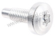 OVAL-HEAD SCREW