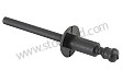 Plastic Rivet