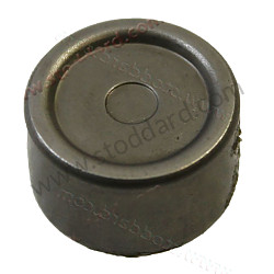 Needle bearing  (99920136501)