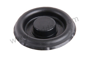 PLUG 30 x 42 MM (99970343340)