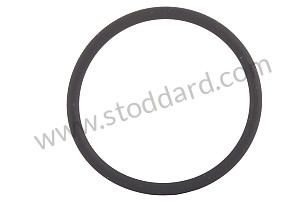 O-RING  (99970741040)