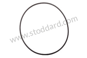 O-RING  (99970748241)