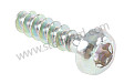OVAL-HEAD SCREW
