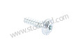 OVAL-HEAD SCREW