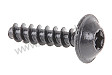 SCREW