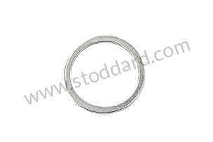 SEALING RING  (99A000173540)