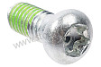 SCREW FOR RETAINING PLATE