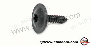 Torx Screw 4.8x19  (9A700751700)