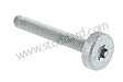 TORX SCREW