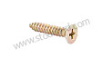 TAPPING SCREW