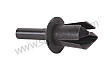 EXPANSION RIVET