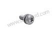 TORX SCREW